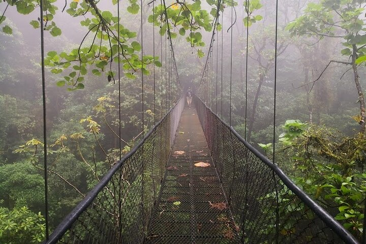 Hanging bridges and Zip line from Port Cardera especially for cruises - Photo 1 of 14